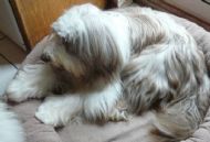 Jodie 9 year old today